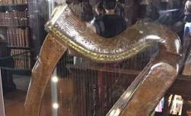 HARPE CELTIQUE  (Adulte 16 ans et plus) avec Mme Harrang