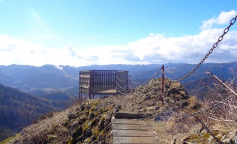 La forêt des volcans de Wegscheid (La réserve naturelle des volcans alsaciens)  (68)