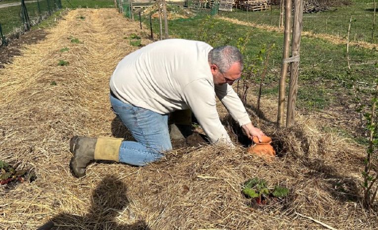 La conduite d'un jardin sans produits phytosanitaires