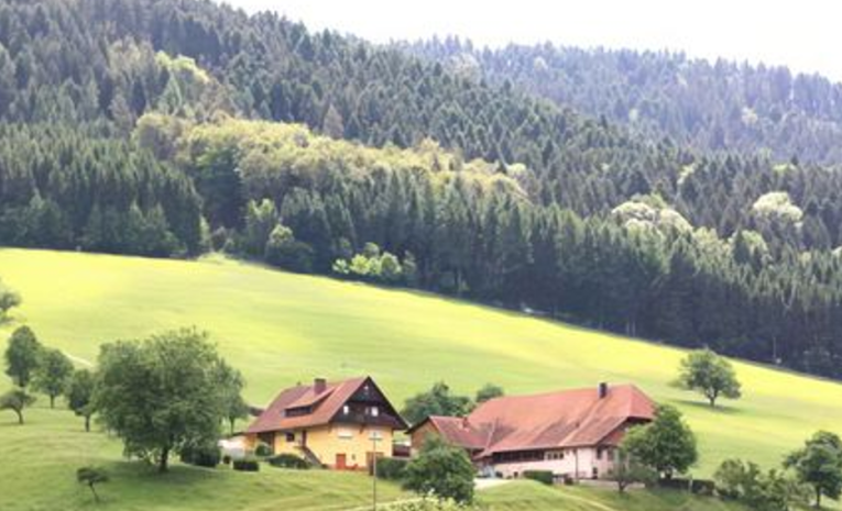 Derrière Freiburg (Le piémont de la Forêt Noire)  (D)