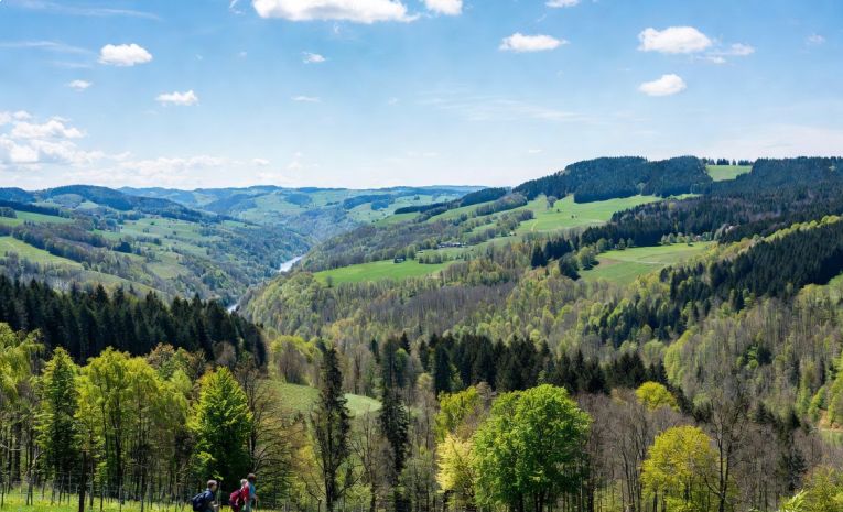 LIESTAL - AESCH (CH)