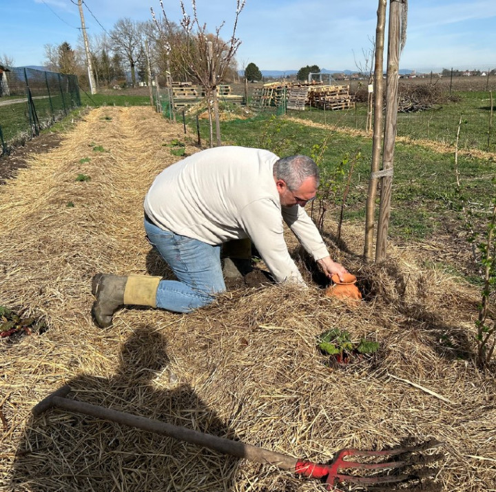 La conduite d'un jardin sans produits phytosanitaires